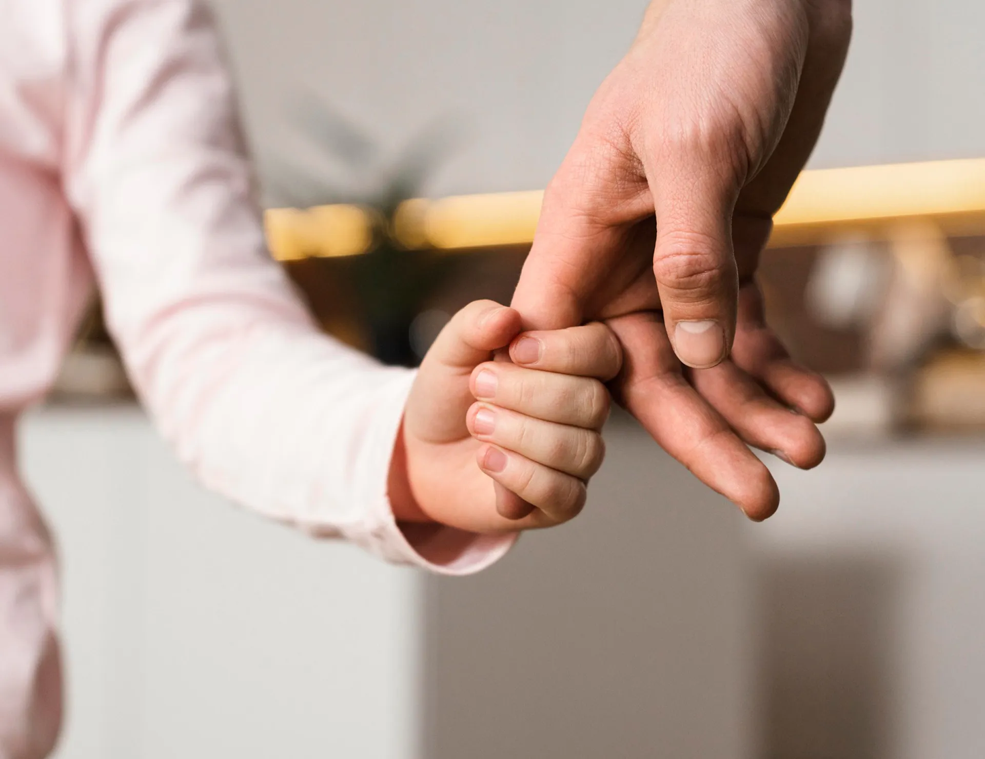 법무법인태하 이혼 소송 | 양육권